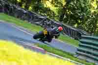 cadwell-no-limits-trackday;cadwell-park;cadwell-park-photographs;cadwell-trackday-photographs;enduro-digital-images;event-digital-images;eventdigitalimages;no-limits-trackdays;peter-wileman-photography;racing-digital-images;trackday-digital-images;trackday-photos